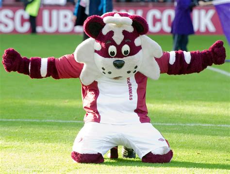 The Influence of Mascots on Kids Football Preferences: A Comparative Study
